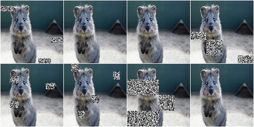 CoarseSaltAndPepper