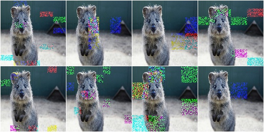 CoarseSaltAndPepper with per_channel