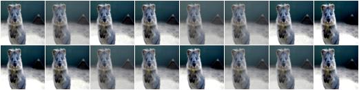 ContrastNormalization