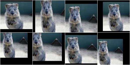 Crop/Pad by -10 to 10 percent