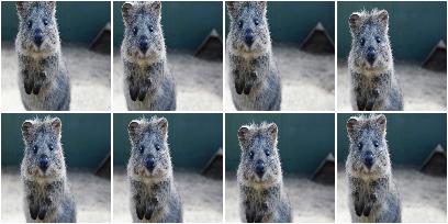 Crop down to 100x100 with random division of crop amounts onto the different image sides