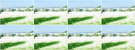 FastSnowyLandscape