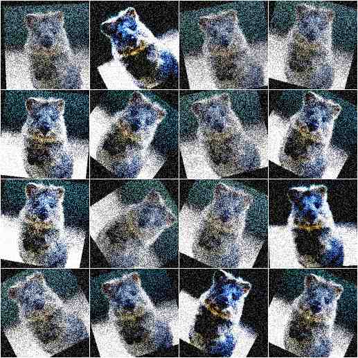 Augmented images generated by example sequence