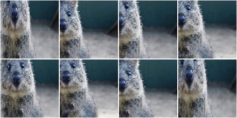 KeepSizeByResize with nearest neighbour interpolation + Crop