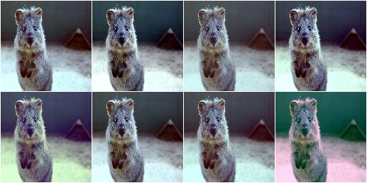 LinearContrast per_channel
