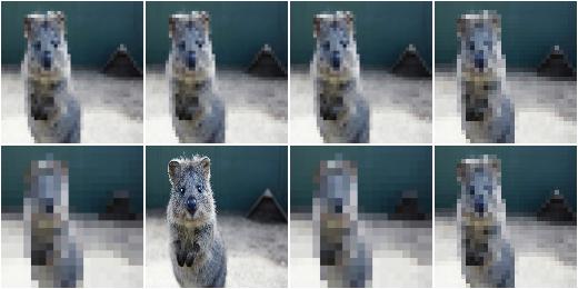 MedianPooling with a uniform distribution over kernel sizes