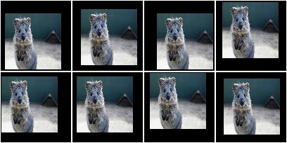 Pad to 100x100 with random division of pad amounts onto the different image sides