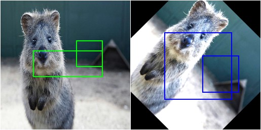 Bounding box augmentation with rotation
