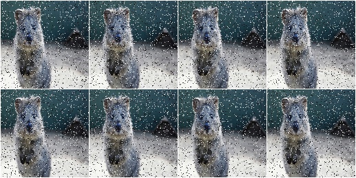 SaltAndPepper