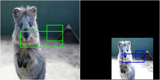 Simple bounding box augmentation example