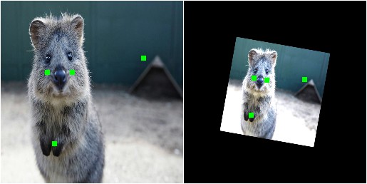 Simple keypoint augmentation example