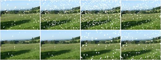 Snowflakes
